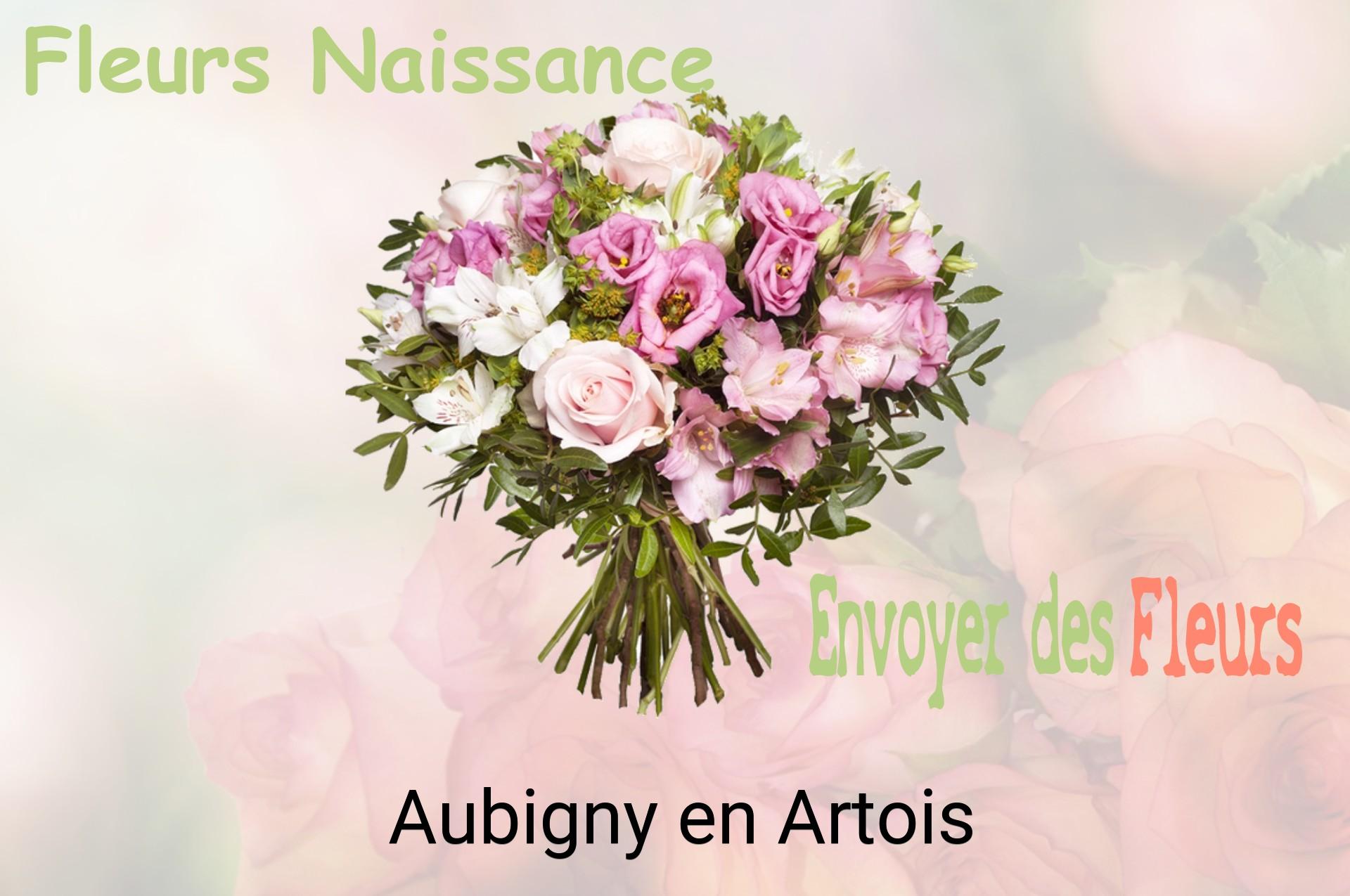 Bouquet de fleurs de naissance livré à Aubigny-en-Artois
